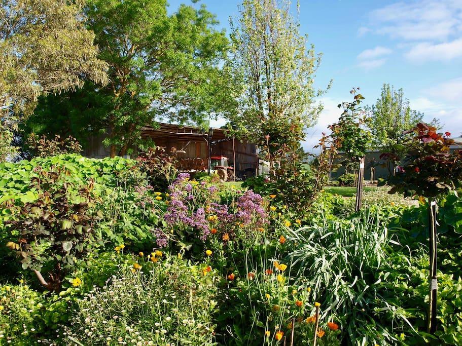 Manderley Park Farmstay B&B Buln Buln Exteriér fotografie